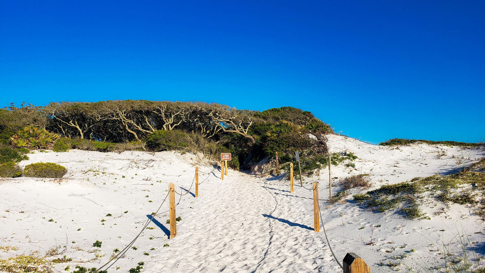 This Captivating Beach State Park In Florida Offers Panoramic Views Of The Gulf Coast

