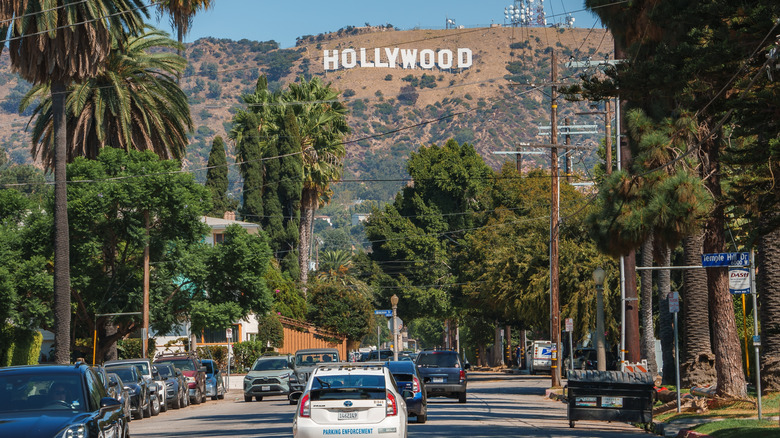 Cars tree-lined avenue Hollywood sign