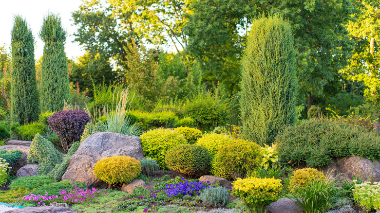 Golden hour in lush garden. A lush garden displays a variety of colorful plants and shrubs bathed in warm golden light during sunset