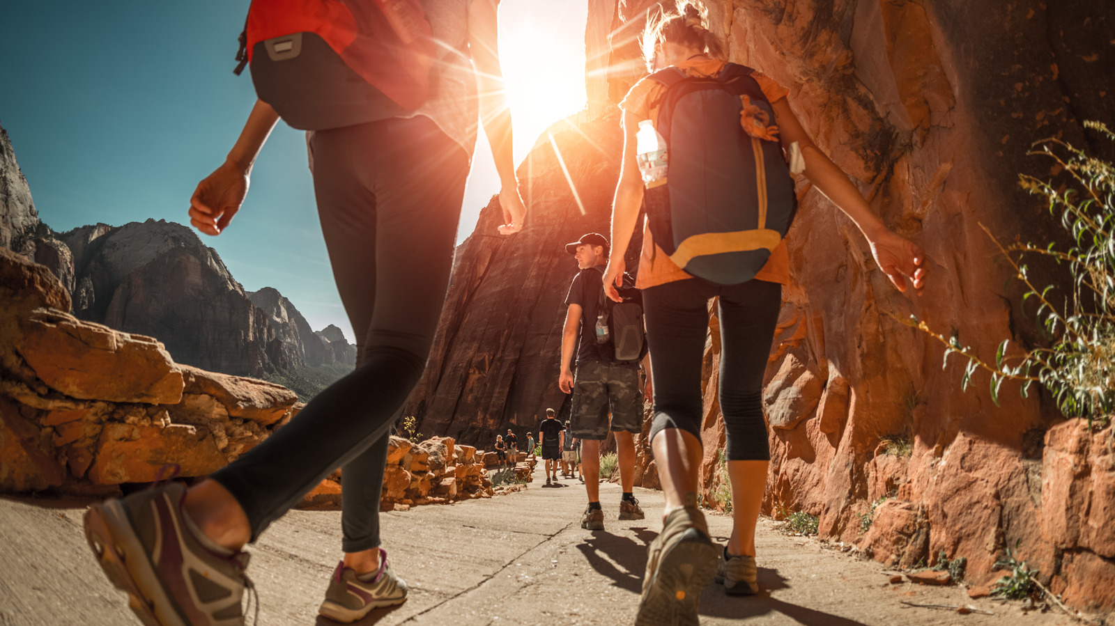 Planning To Visit US National Parks? Download This Helpful App Before Your Trip

