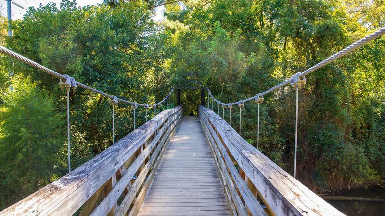a wooden suspension bridge leads into woodland on Morningside Nature Trail