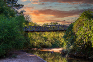 Atlantas üppiges Naturreservat – Friedliche Auszeit mit leichten Wanderwegen am ruhigen Bach