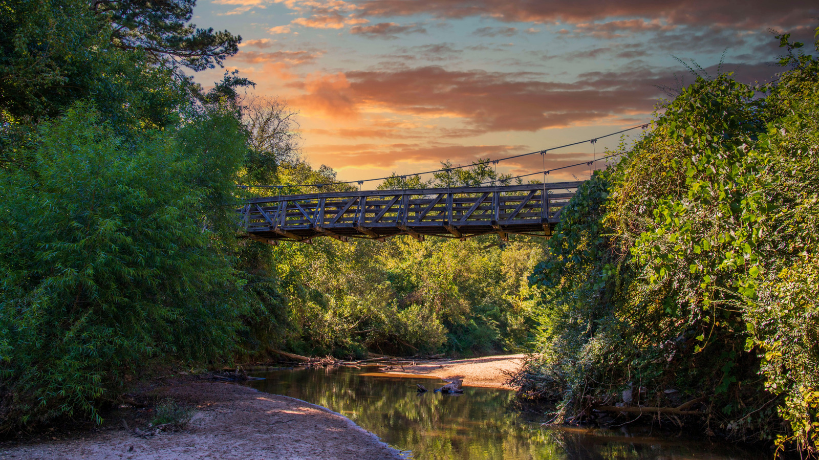 Atlanta's Lush Nature Preserve Offers A Peaceful Escape With Easy Hiking By A Quiet Creek


