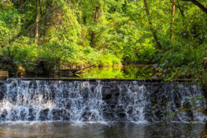 Naturreservat am Stadtrand von Atlanta: Malerische Wasserfälle und Wanderwege