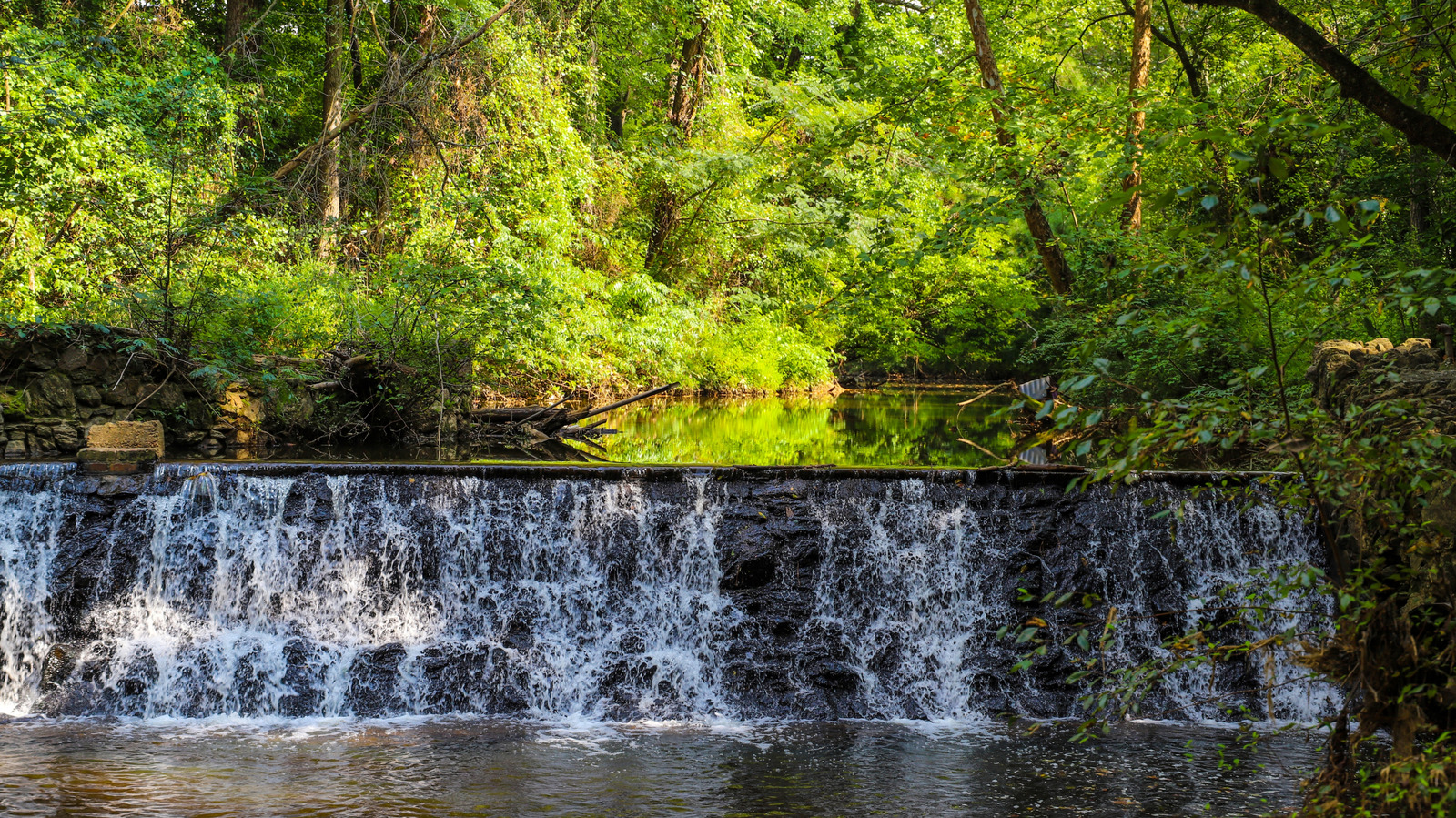 Nestled In The Outskirts Of Atlanta Lies A Nature Preserve With Scenic Waterfall Hiking

