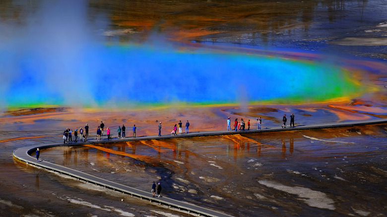 colored hot springs in Yellowstone National Park