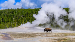 Scientists Reveal The Potentially Devastating Danger Beneath Yellowstone National Park

