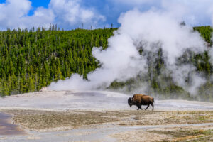 Forscher offenbaren potenziell verheerende Gefahr unter dem Yellowstone-Nationalpark
