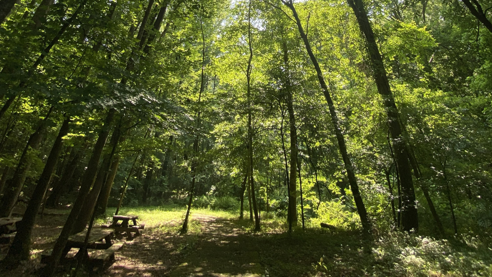 Atlanta's Underrated Nature Preserve Offers Hiking Trails With Storybook Charm

