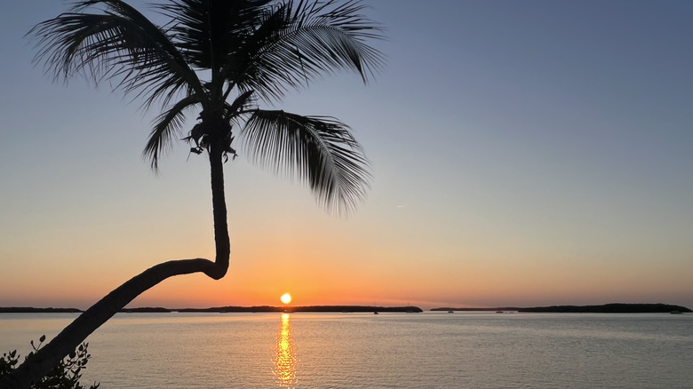 Sunrise on the beach in Islamorada, Florida