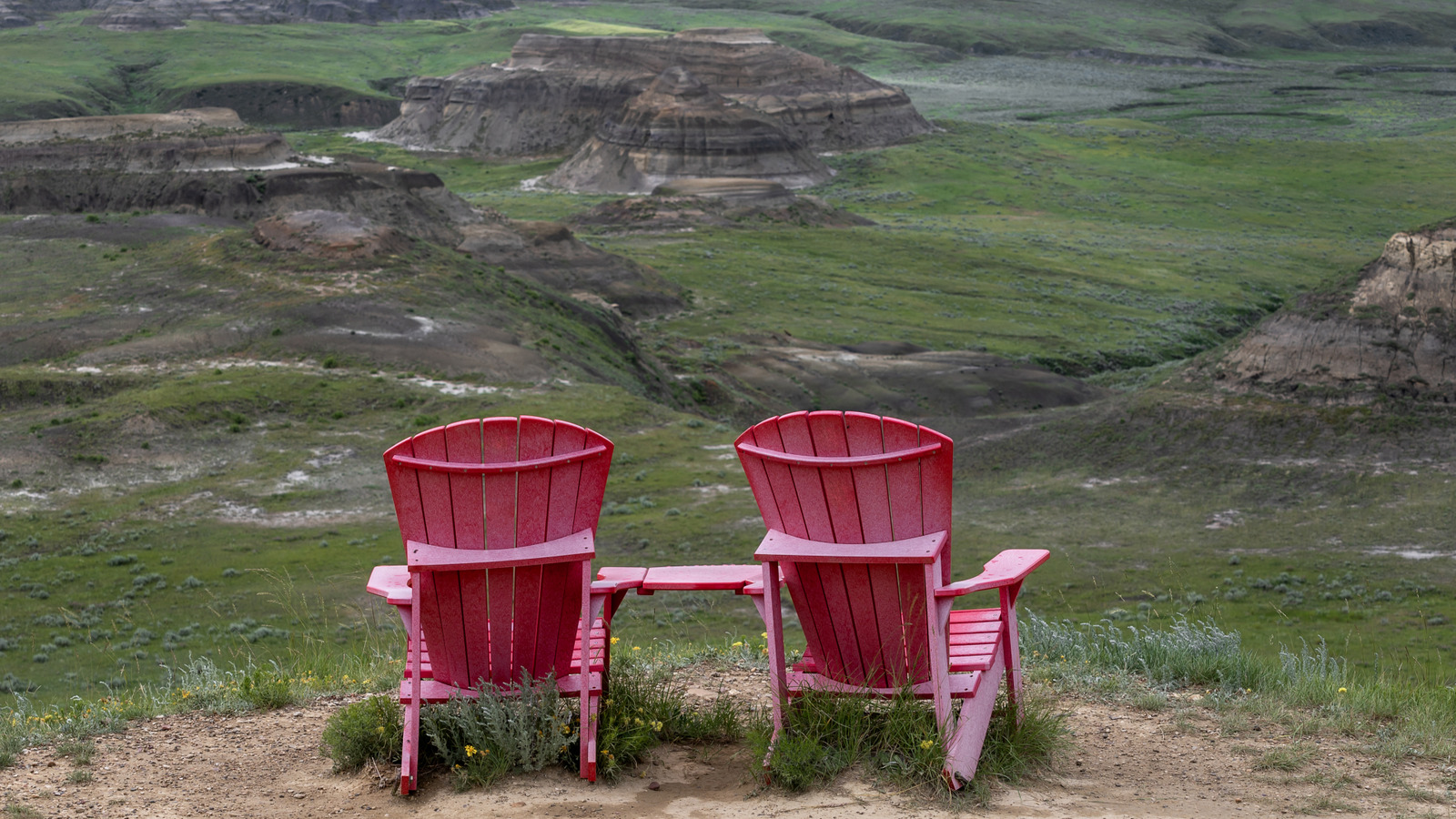 This Highly Underrated Canadian National Park Has Scenic Trails, Camping, And Wild Bison

