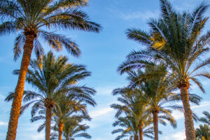 Nicht Orlando, Nicht Tampa: Eine der größten Städte Floridas könnte einen zweiten Flughafen bekommen