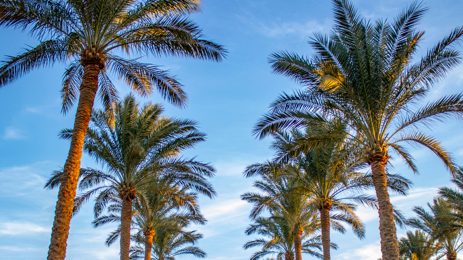Not Orlando, Not Tampa: This Major Florida City Could Be Getting A Second Airport

