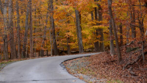 America's First Highway Offers A Historic Road Trip With Secret Stops And Relics

