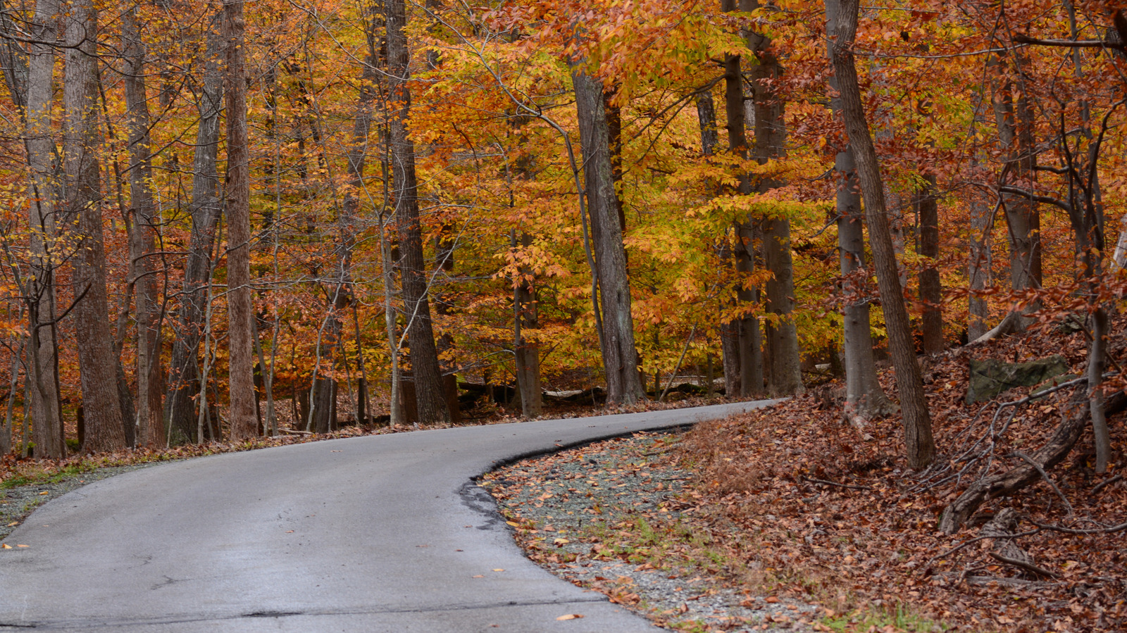 America's First Highway Offers A Historic Road Trip With Secret Stops And Relics

