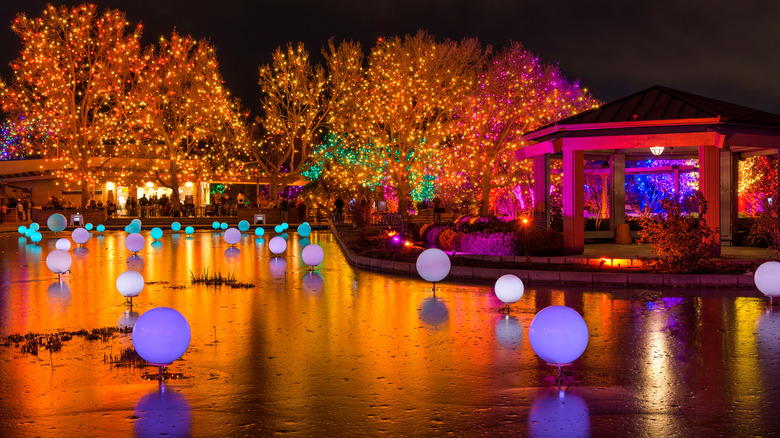 Colorful Lights brighten up a frozen pond in Denver Botanic Gardens during its holiday Blossoms of Light event.