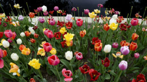 This Botanical Garden With Rave Reviews Is The Best In Colorado In 2026 So Far

