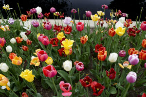 Der beste botanische Garten in Colorado 2026 – bislang mit begeisterten Bewertungen