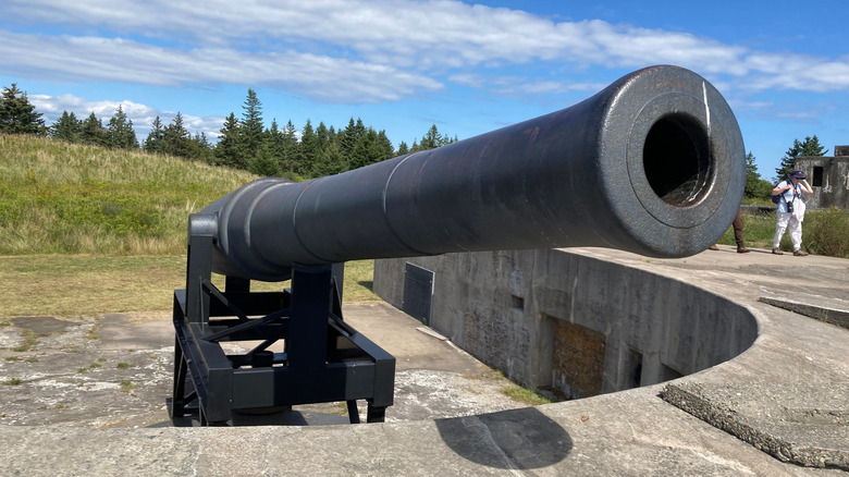 An 18th century artillery gun on McNabs Island.