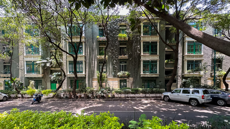 Condesa neighborhood in Mexico City
