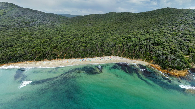 aerial shot Cala Violina