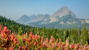 This Couple Actually Built A Home In Glacier National Park – Here's Why It's Legal

