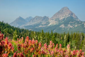 Dieses Paar hat im Glacier-Nationalpark tatsächlich ein Haus gebaut – Warum es legal ist