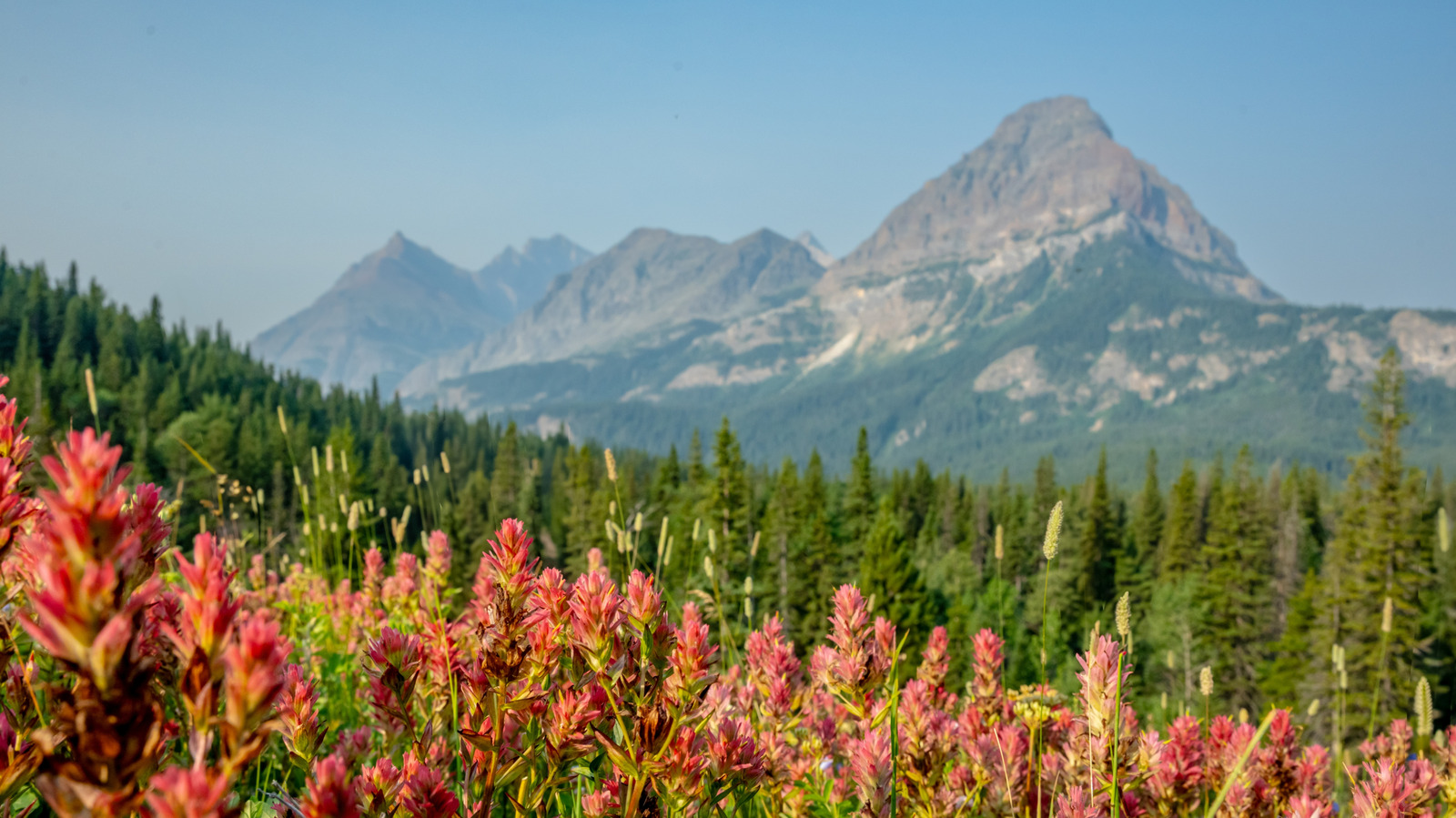This Couple Actually Built A Home In Glacier National Park – Here's Why It's Legal

