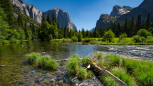California's Most Popular National Park Got Rid Of Reservations, Leading To Massive Crowds

