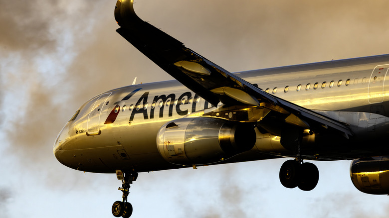 An American Airlines Airbus A321 lands at Portland International Airport in golden light from a setting sun.