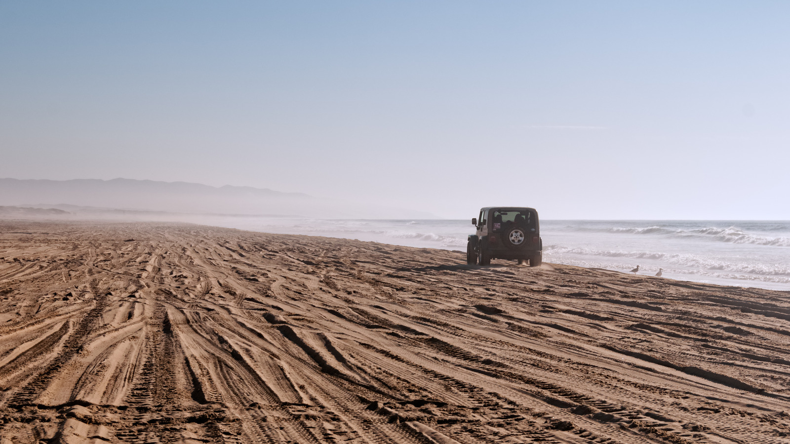 California's Only Vehicle-Friendly Beach State Park Has Reopened For Off-Roading & Camping

