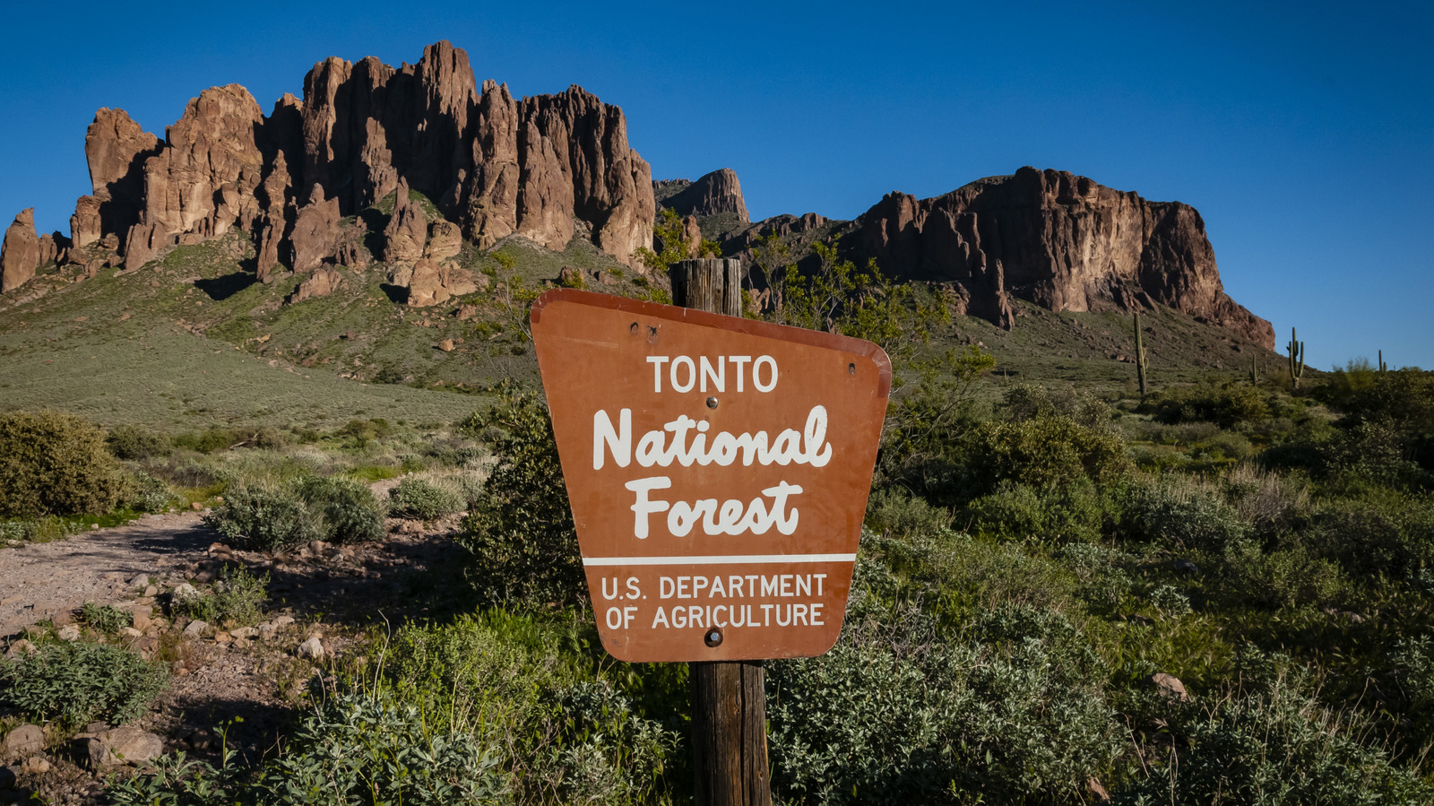 6 Natural Wonders To Look For Within Arizona's Tonto National Forest

