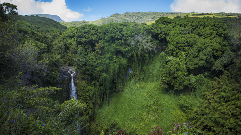 Waterfall surrounded by lush green jungle at Haleakala National park