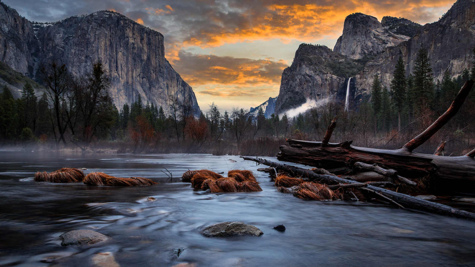 4 Common Visitor Complaints About Yosemite National Park

