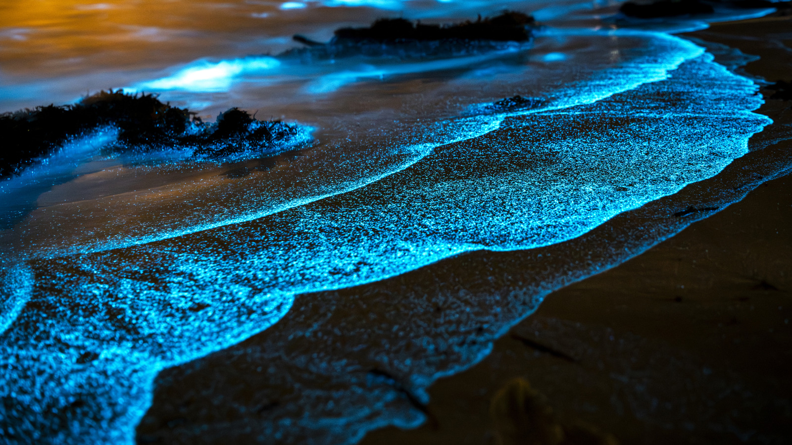 Hawaii's Bioluminescent Ocean Views Are The Most Stunning During Summer

