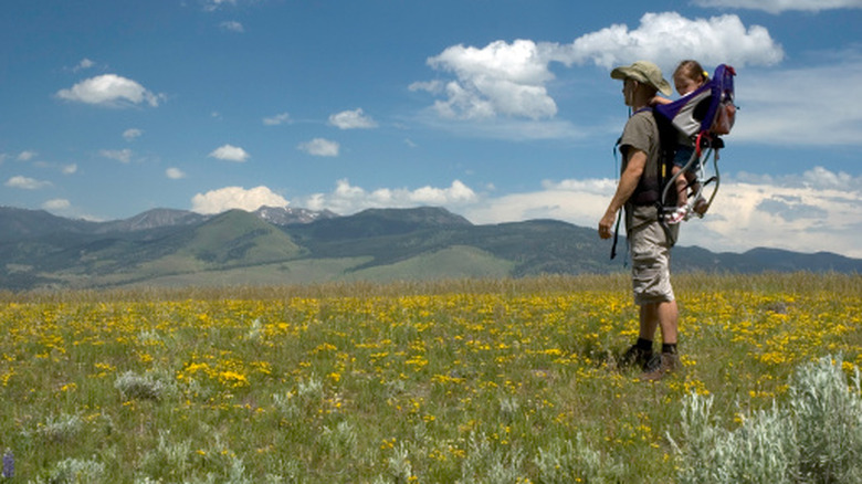 A parent and child hiking through a field at Yellowstone National Park.