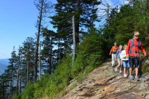 Nicht Yosemite, Nicht Rocky Mountain: Diese Nationalparks bieten die meisten Wanderwege