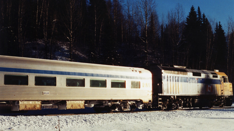 Train running past forest at night