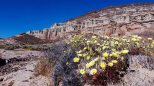 This Stunning California State Park With Colorful Canyons Is A Favorite Among Locals

