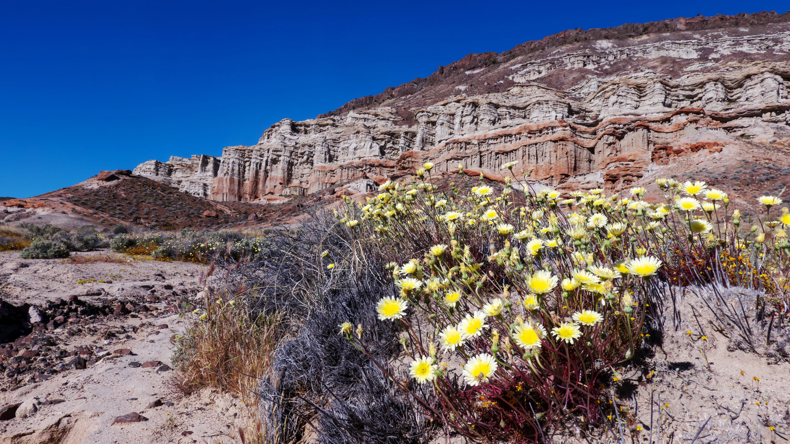 This Stunning California State Park With Colorful Canyons Is A Favorite Among Locals


