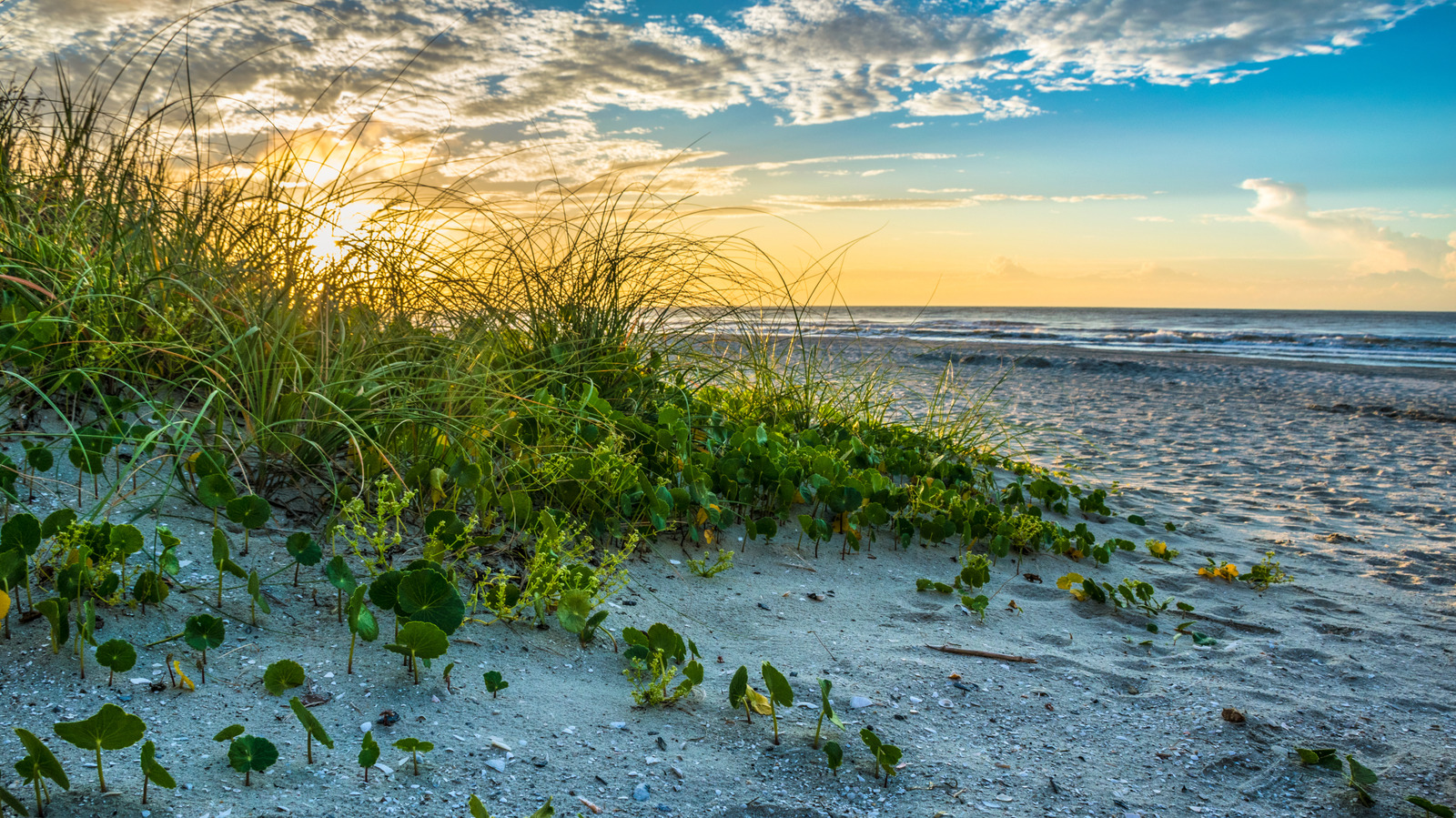 Sandwiched Between Fort Myers And Naples Lies One Of Florida's Best Unspoiled Beaches

