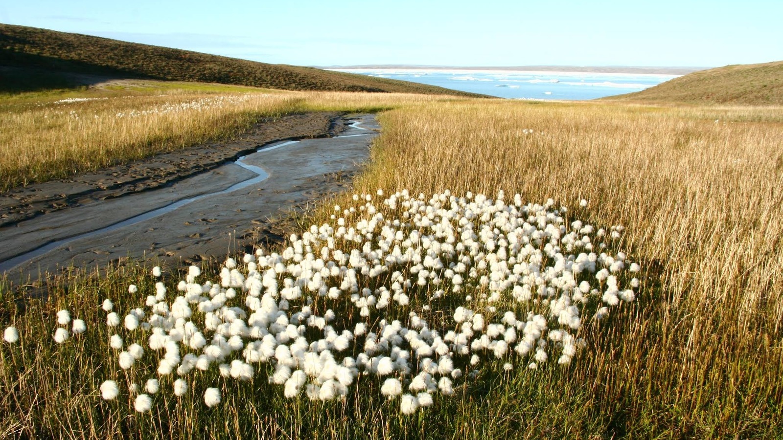 One Of North America's Least Visited National Parks Is A Remote Gem For Outdoor Adventure

