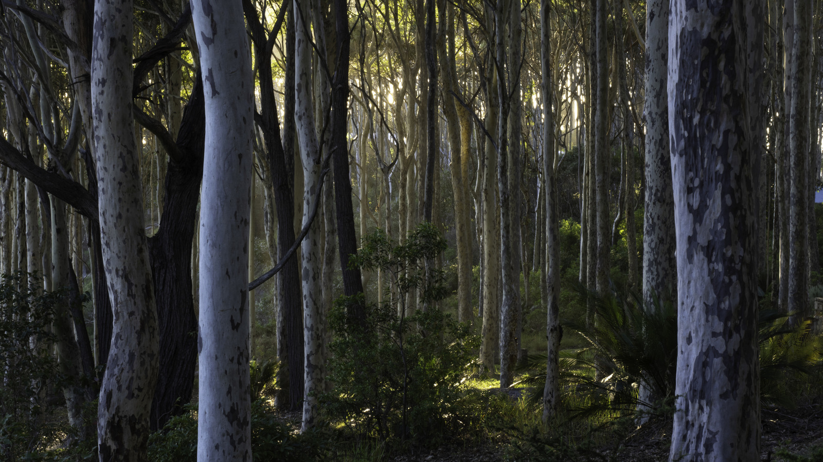 Australia's Newest National Park Will Offer A Laid-Back Nature Escape In Sydney

