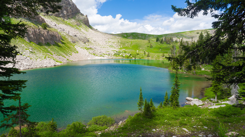 An alpine lake and pine trees on the Teton Crest Trail in Grand Teton National Park.