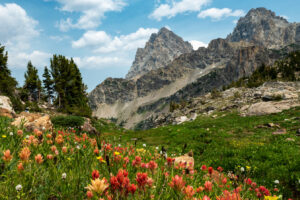 Top-Wanderweg im Grand Teton National Park: Atemberaubende Bergpanoramen