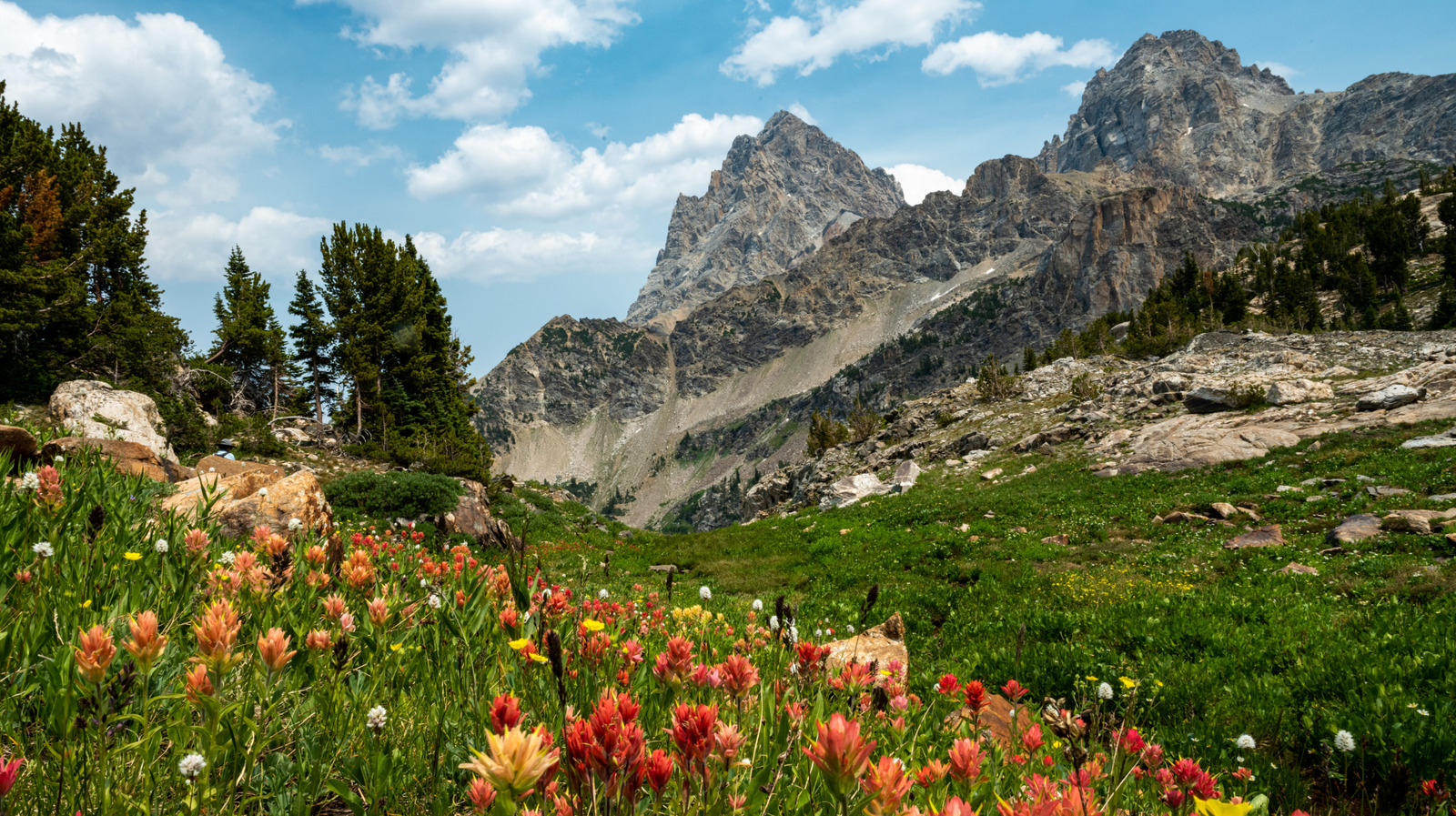 Grand Teton National Park's Premier Hiking Trail Boasts Sweeping Mountain Views

