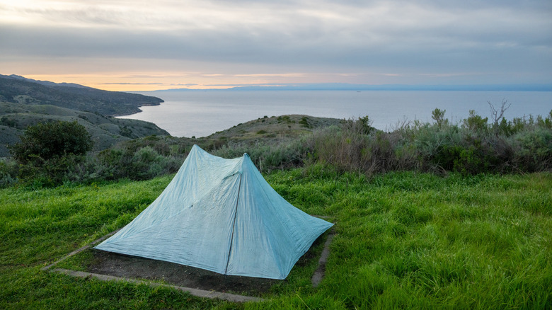 A tent on the green grass of Santa Cruz Island, overlooking the water.