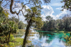 Zwischen Tampa und Gainesville: Floridas versteckte Perle mit natürlichen Quellen und Kajakfahren
