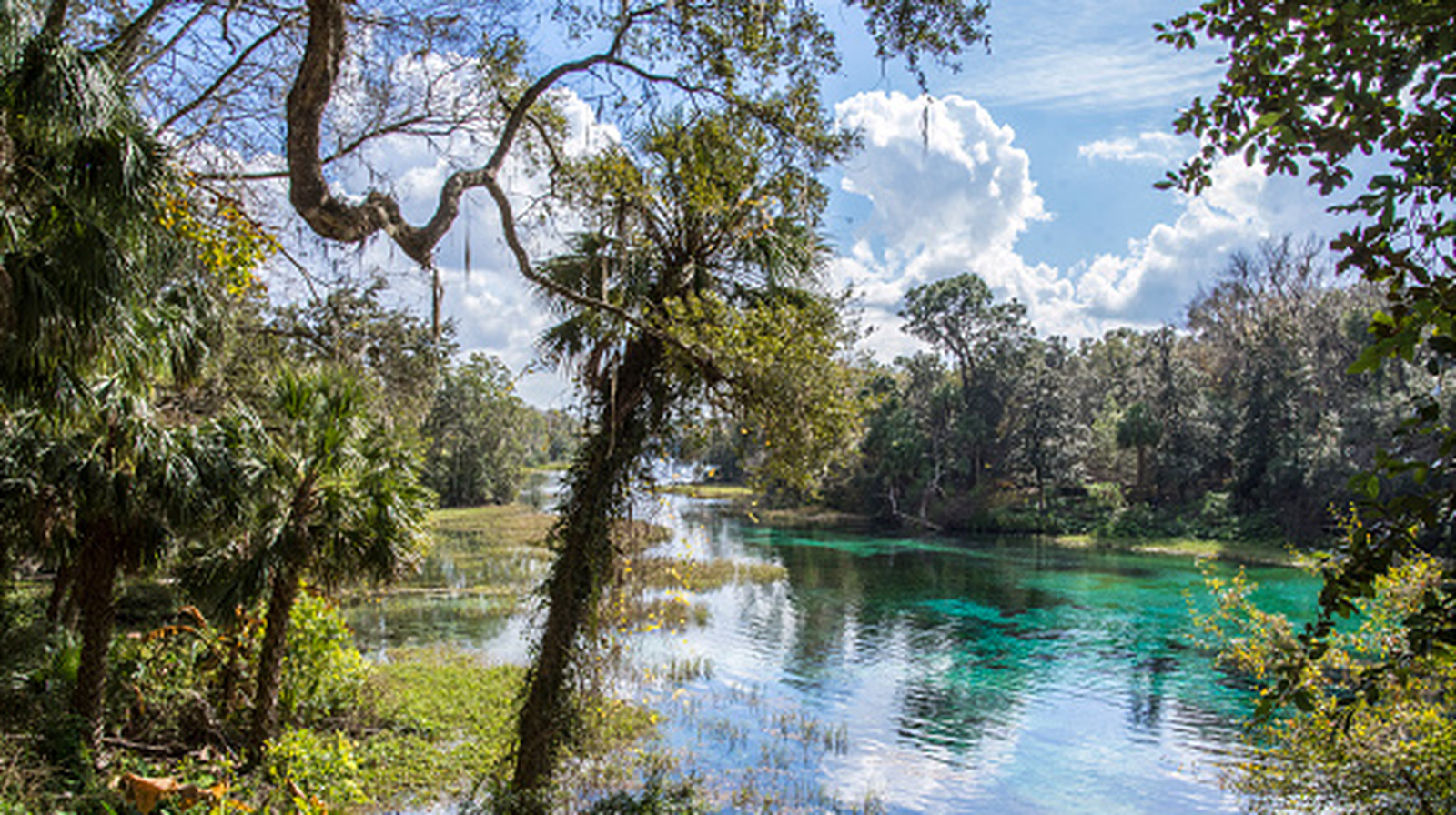 Between Tampa & Gainesville Lies Florida's Hidden Gem With Natural Springs And Kayaking

