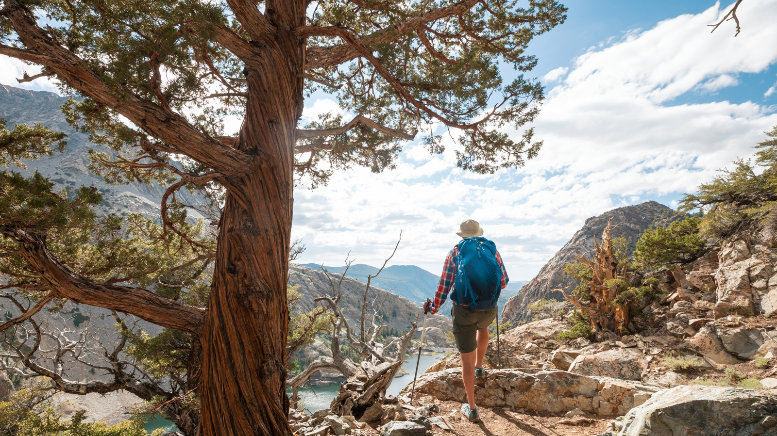 The Best State For Hiking Isn't Utah Or Colorado

